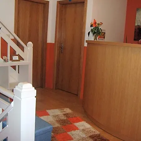 5 Bicas 3* Aveiro